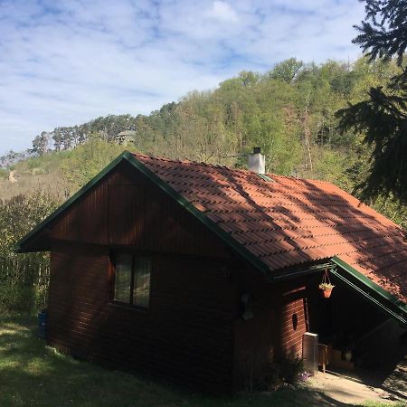 Vila chata u certovych hlav Zelizy Exteriér fotografie